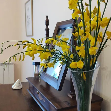 Ferienhaus La Casa Di Mimino *